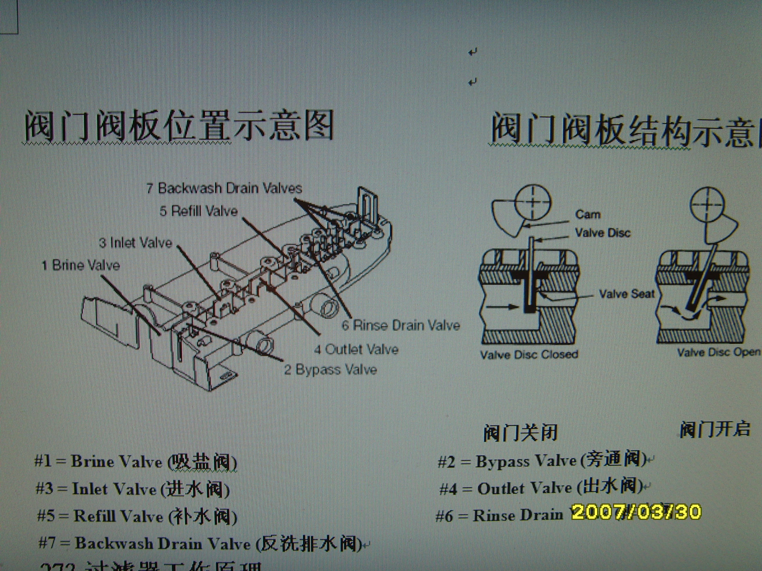 SNV31896.JPG