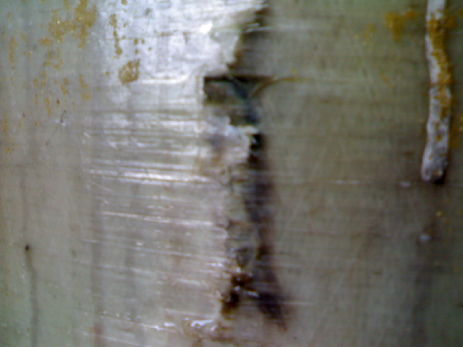 20070508199.jpg